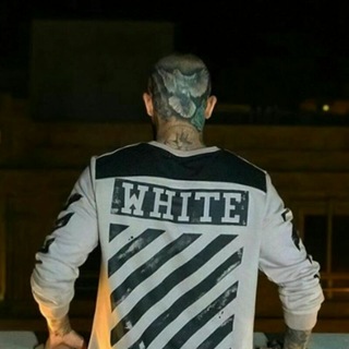 Amirtatalootatality7 (@amirtatalootatality7)