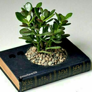 @ زندگى زيبا (@moshaverlife)