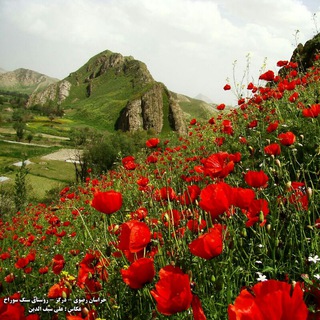 گردشگری و اکوتوریسم درگز (@gardeshgari_dargaz)