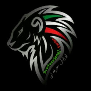 ایرانیان حرفه ای (@professional_iranian)