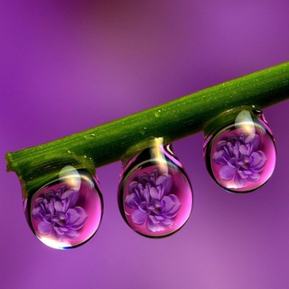 Interesting Photos (@interestingphotos)