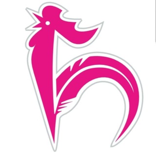 Hanibal آژانس هانی بال (@hanibalagency)