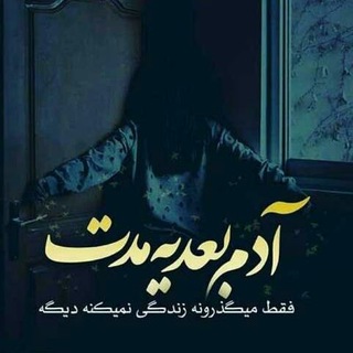 𝗭'𝗘𝗿𝘀 𝗚𝗿𝗮𝗺 (@zrgram)