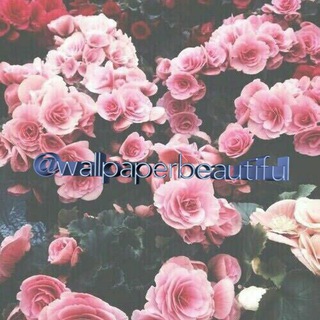 puɐl-llɐʍ (@wallpaperbeautiful)
