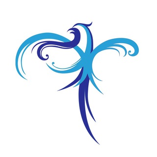 فاخته سیر آسمان/ تور و بلیت (@charter7)
