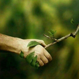 علوم تیزهوشان🌍 (@olomtizhoshan)