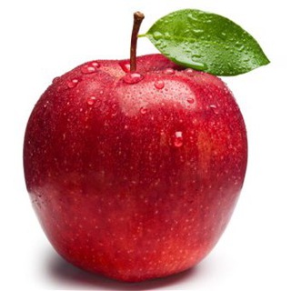 دكتر محسن مداح متخصص تغذيه و رژيم درمانى (@drmaddah)
