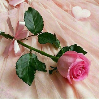 دل نوشت ❤ (@eterafe_zehne_khaste)