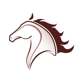 Alborz Horse Festival (@alborzhorsefestival)