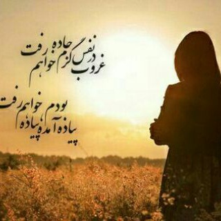 💓آلاچیق💓 (@xpoemx)