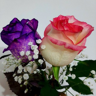 ♡عاشقانه♡ (@telelove)