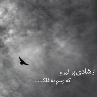 از شادی پرگیرم که رسم به فلک (@azshadipargiram)