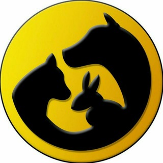 واگذاری رایگان حیوانات (@iranian_animal_adopt)