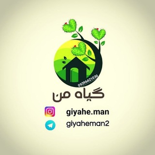 🏜گیاه من💞 (@giyaheman2)