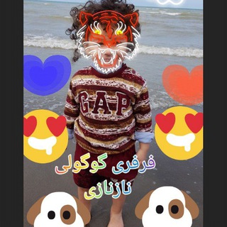 سرگرمی (@sargarmi_amir)