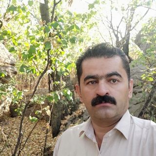آموزشگاه روانشناسی نوین و مرکز مشاوره روانشناختی و تحصیلی دکتر امین پور (@pajhoheshaminpoor)