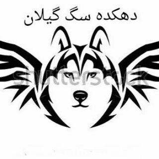 دهکده سگ گیلان (@sag_gilann)