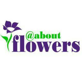 گل و گلدون (@aboutflowers)