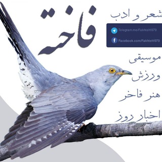 کانال فاخته🌺🍀🌼 (@fakhteh1979)