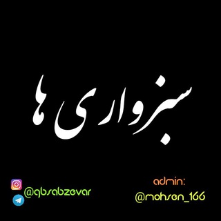 👧 سـبــزواری هـا 👦 (@gbsabzevar)