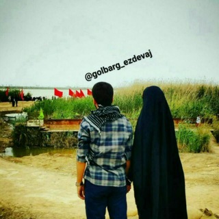 عشق علوی و فاطمی (@eshghealavifatemi)