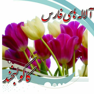 آلاله های کاکو لبخند 🌷🌷 (@kakolabkhand)