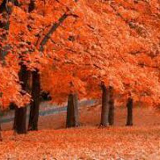 عاشقانه های کاغذی (@asheghanehayekaghazi)