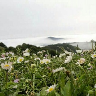 Nature Photography (@nature_photography)