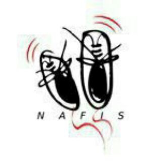 کیف و کفش نفیس (@nafis_shoes_chanel)