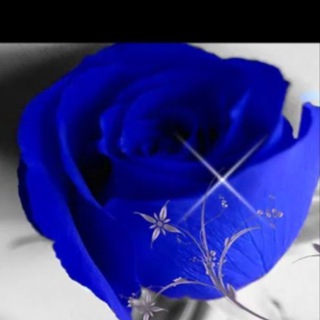 شركت سرمايه گذاري هواداران استقلال (@havadaraneesteghlal)