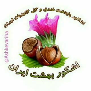 اشکور بهشت ایران(اشکوری‌ها) (@ashkevariha)