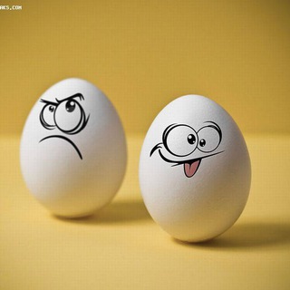 √√همه چيز از همه جا√√ (@hamechizashameja)