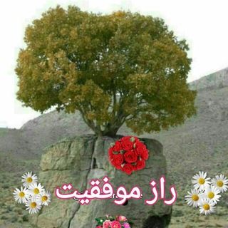 راز موفقیت (@moafaghyat)
