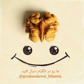 گیاهان دارویی وطب سنتی بی همتا (@giyahandarooi_bihamta)