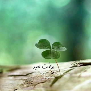درخت امید (@goodtext)