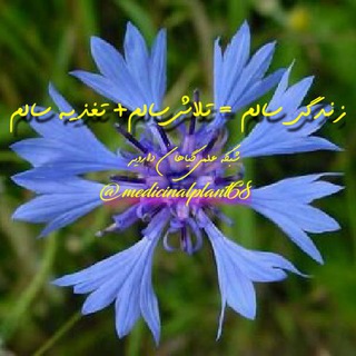 🌿گیاهان دارویی🌿 (@medicinalplant68)