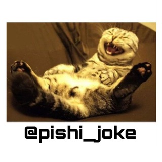 پیشی جوک 😸 (@pishi_joke)