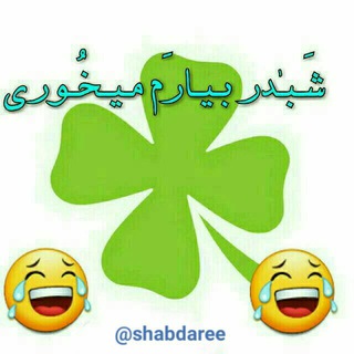 شبدر بیارم میخوری🍀 (@shabdaree)