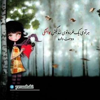 یواشکی دوست دارم (@yavaashaki)