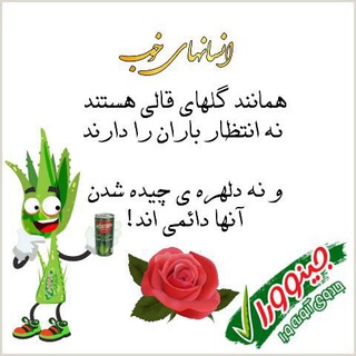 زندگي سالم (@zendegisallem_1)