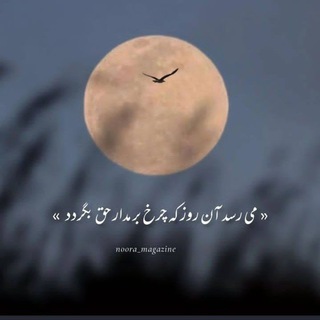 آفتاب در غربت💖(السلام علیک یا صاحب الزمان)💖 (@aftab_dar_ghorbat)