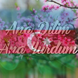 Ana Dilim Ana Yurdum (@ana_dili_ana_yurdum)