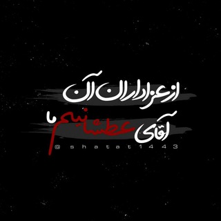 ‹ عـٰاشـقـانِڪࢪبݪا › (@asheghanekarbalaaaa)