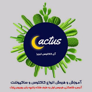 پرسش و پاسخ آي كاكتوس تبريز (@aycactustabriz)