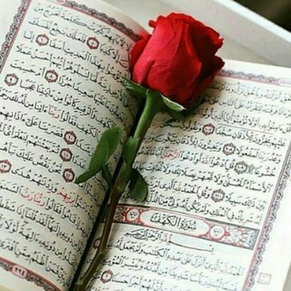 آیه های وحی (@ayehaye_vahy)
