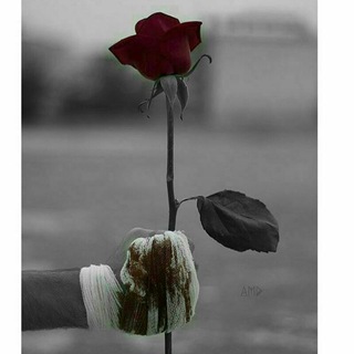 ❤💋کمیم ولی باهمیم💋❤ (@bacheh_haye_bahal)