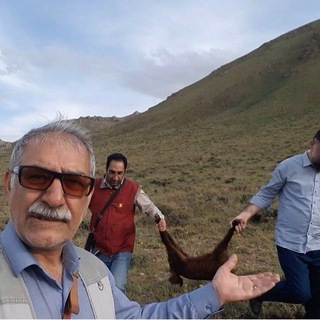 💎بیان ودستان هنر (@bayan_dastanehonar)