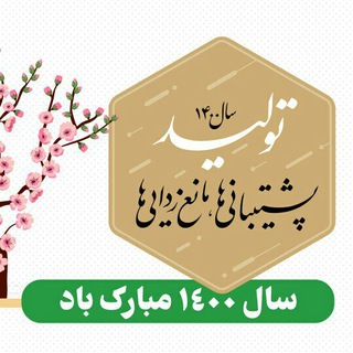 Benyamin Fajr Forwarding Company (@benyaminfajr)