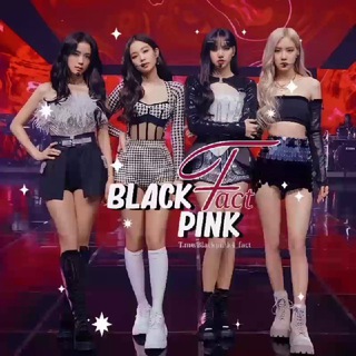 「𝖡𝗅𝖺𝖼𝗄𝖯𝗂𝗇𝗄 𝖥𝖺𝖼𝗍」 (@blackpink4_fact)