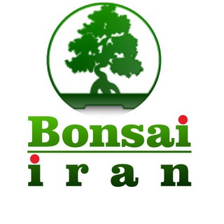 بونسای ،نگهداری ، پرورش (@bonsaiiran)